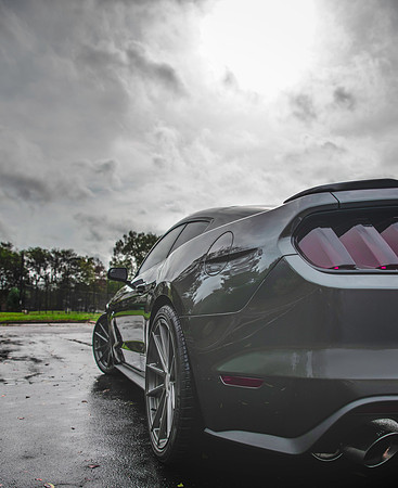 Mustang