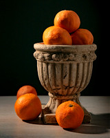 DSC_4047_oranges_IG